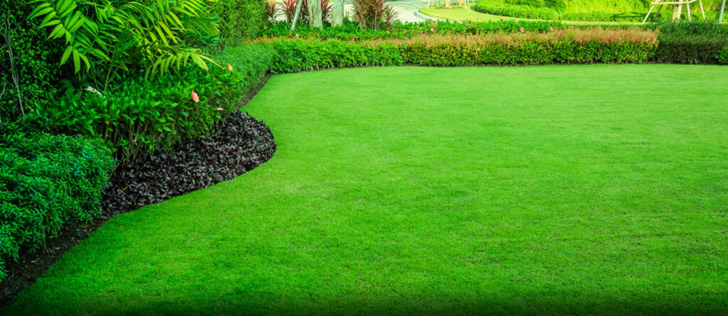 A lush green lawn maintained by a local property management company