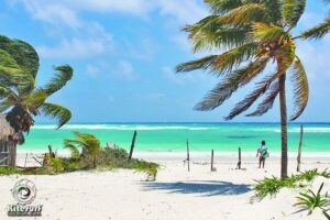 Xpu-Ha Beach is one of the best beaches in Playa del Carmen due to it's beauty