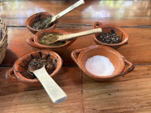 A photo of some sauces at one of the 10 best restaurants in Playa del Carmen (La Cueva del Chango)