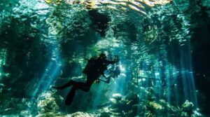 Cenote Jardin del Eden is one of the best snorkeling spots near Playa del Carmen - here is a picture!