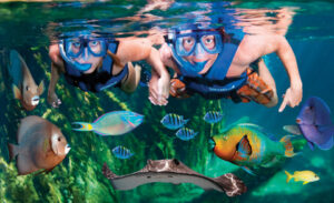 One of the best snorkeling spots near Playa del Carmen is Xel-Há Park shown in the picture