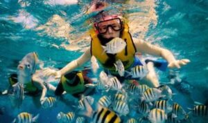 Akumal Bay (in this picture) is one of the best spots for snorkeling near Playa del Carmen